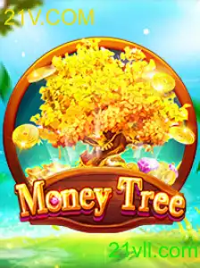 Introdução ao Mundo Fascinante de MoneyTree